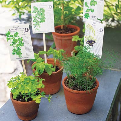 Chopsticks used to label plants