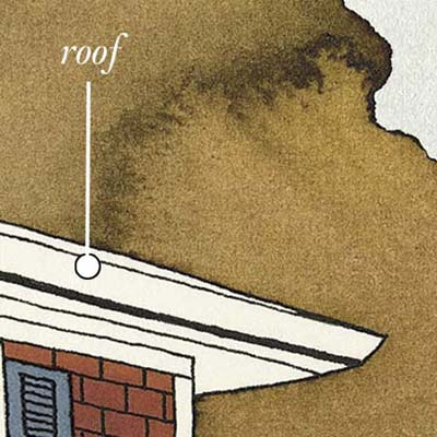roof design and materials should vary depending on the region