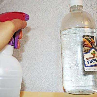 spraying vinegar on the wall