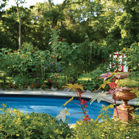 backyard swimming pool