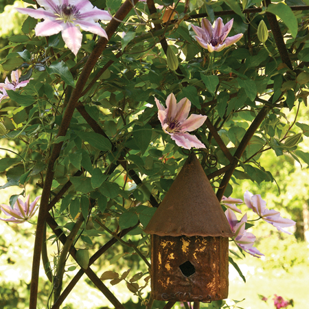 birdhouse on a curved iro trellis with 'Nelly Moser' clematis vine