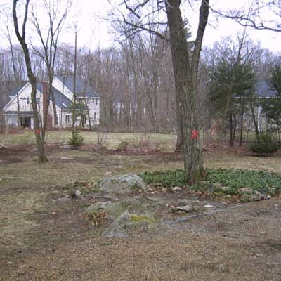 before photo of a back yard in Southborough, MA with lots of trees and little grass