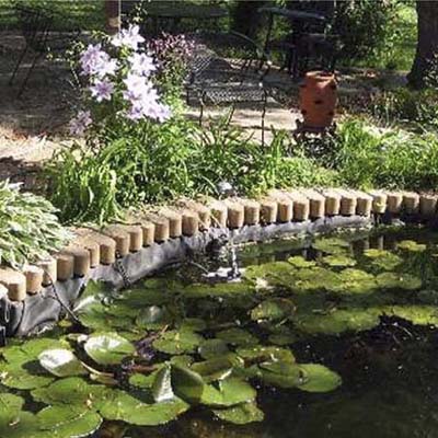before photo of a back yard in Weeki Wachee, FL with a waterlily-covered pond