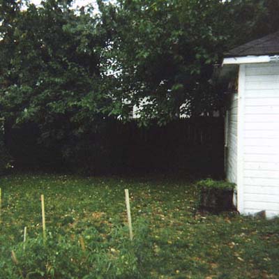 before photo of a small and overgrown back yard in Cleveland, OH