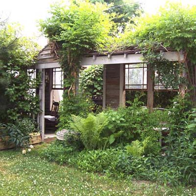 before photo of a back yard in Cleveland, OH with diverse flora