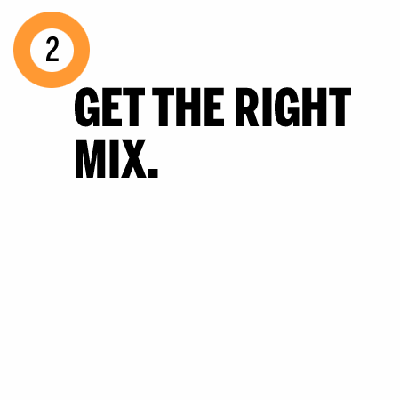 a compost pile should have the right mix of ingredients