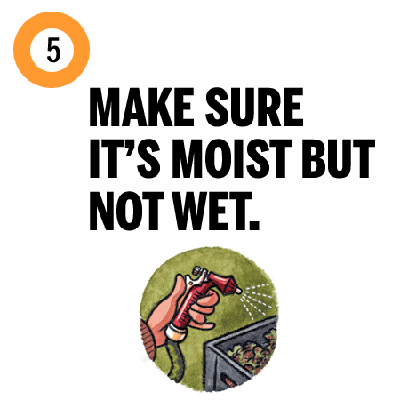 if the compost pile seems dry it should be kept moist but not wet