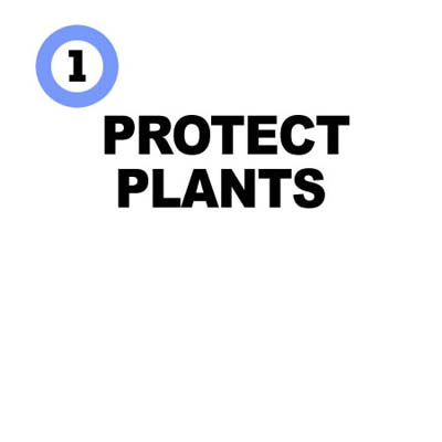 mark plants while you can see them so you don't damage them during snow and ice removal