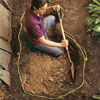 excavate the area
