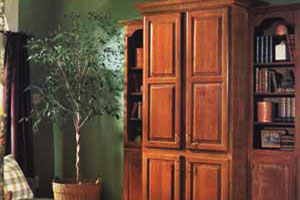 That's Entertainment Wood TV Cabinet