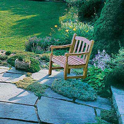 garden bench in a garden