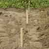 grade the slope for excavation