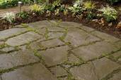 lay a bluestone patio