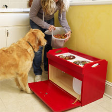 woman putting pet food in the pet feeding station while a dog watches intently