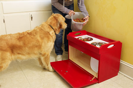 This Old House Dog Feeding Station