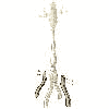 exploded illustration of coat rack with unattached legs highlighted