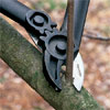 clippers cutting off a water sprout when working to correctly prune a tree