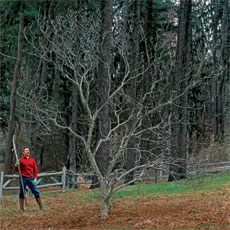 a man standing next to a tree that needs pruning
