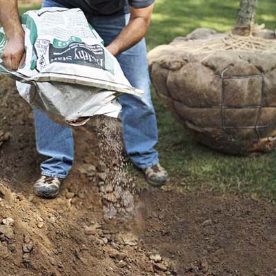 man pours fertilizer into the backfill of a hole