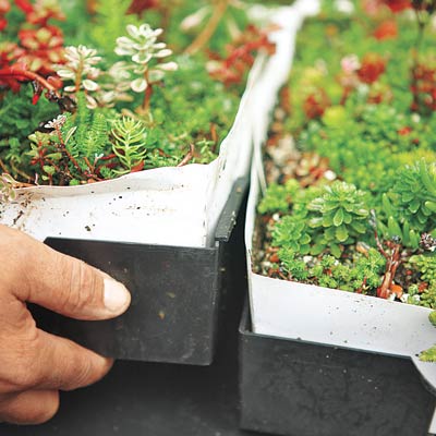 connecting planted trays on the roof using a modular plastic lip system