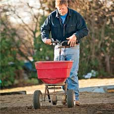 how to fix a half dead lawn