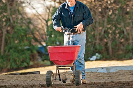 how to fix a half dead lawn