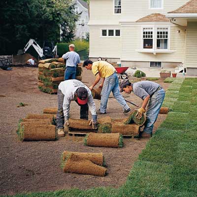 a whole crew rolling out new sod
