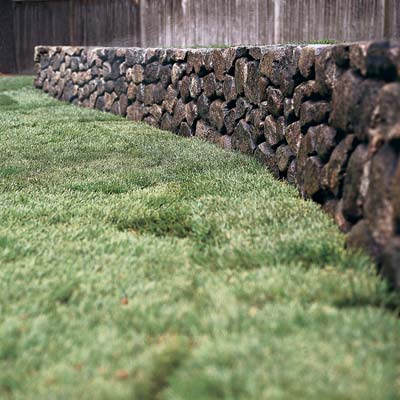 a newly laid sod lawn