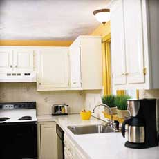 painted kitchen cabinets