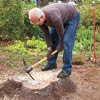 chopping a tree stump