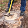chopping a tree stump