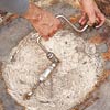 drilling holes in tree stump