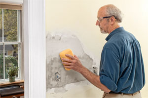 How to Repair Plaster