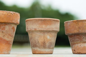 rustic looking terra cotta planting pots