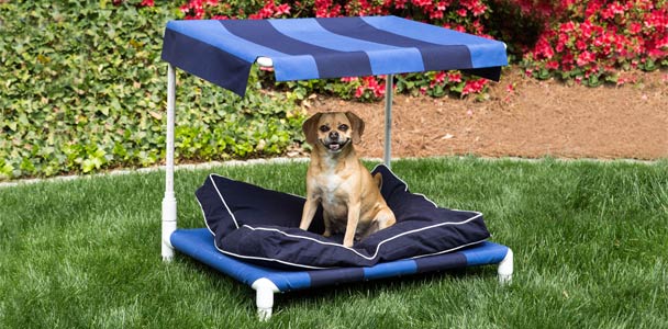 an outdoor dog bed
