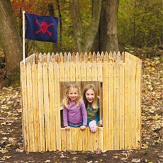 Building a Fort