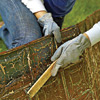 brush off loose paint