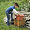 fill your new planter with flowers
