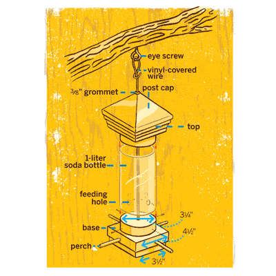 Overview Build Bird Feeder