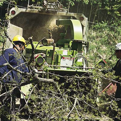 professional tree removal process, step 2, chipping fell limbs