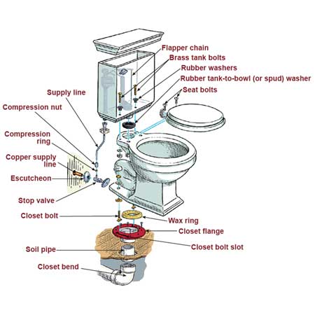 anatomy of a toilet illustration