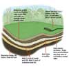 seeding a lawn tout