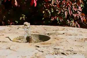 Roger Cook sets up base of a garden fountain with homeowner