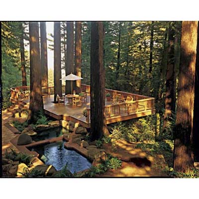 incorporating nature into the deck design 