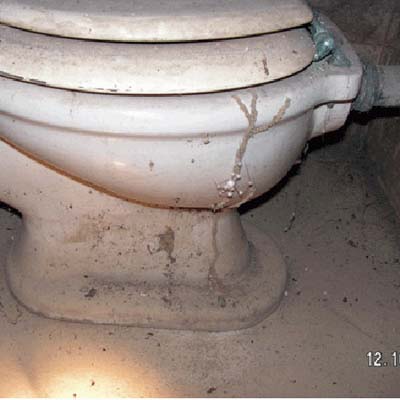 termites in the side of basement toilet 