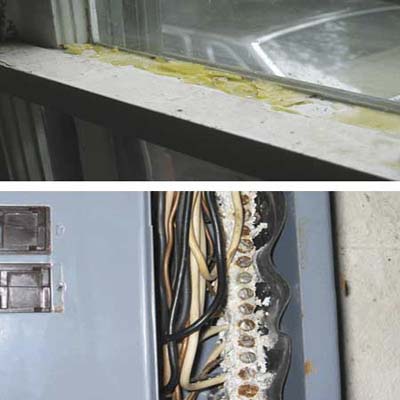 Cat urine accumaled on window sash