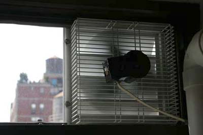 Schaefer Ventilation Equipment in studio kitchen